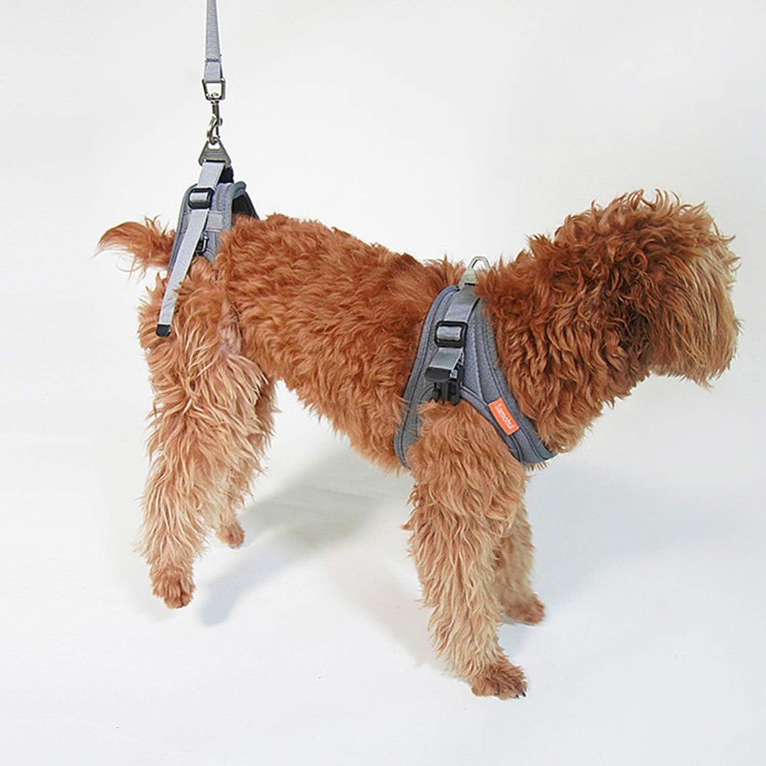 Collapsible Dog Wheelchair for Back Legs - Adjustable Pet Mobility Aid for Disabled Dogs & Cats (XS Widened) - Ideal for Indoor & Outdoor Use, Walks, and Rehabilitation