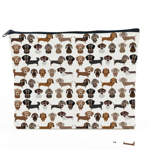 Dachshund28