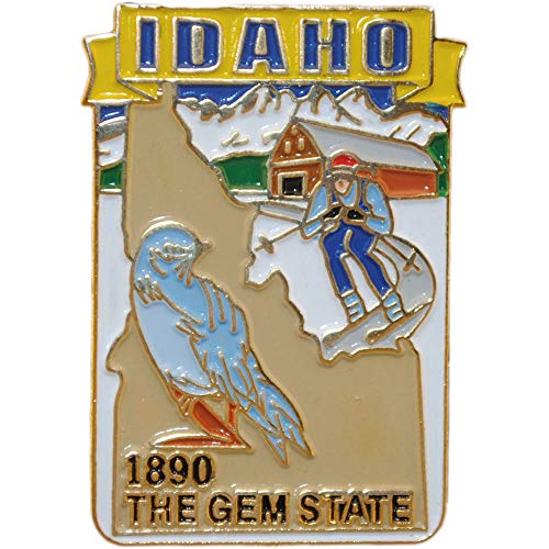 Lapel Metal Pin