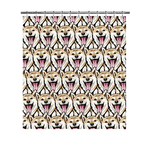 Shiba Inu