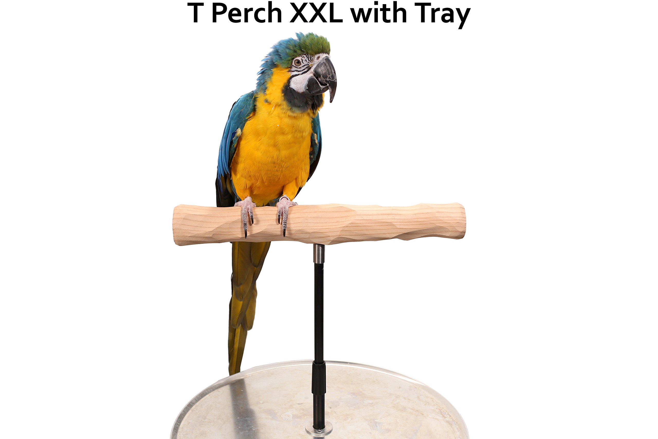 Parrot Training Perch Stand with Detachable Potty Tray - Extra Large T-Shaped Bird Perch for Cockatoos, Macaws & Large Parrots - Perfect for Training, Grooming & Playtime