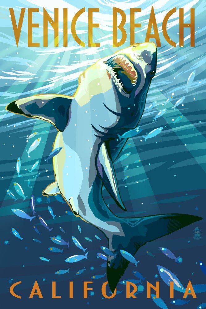 Great White Shark 68824 - Signed 24x36 Art Print Poster | Venice Beach California Wall Decor | Perfect for Living Room, Office & Coastal Themed Spaces