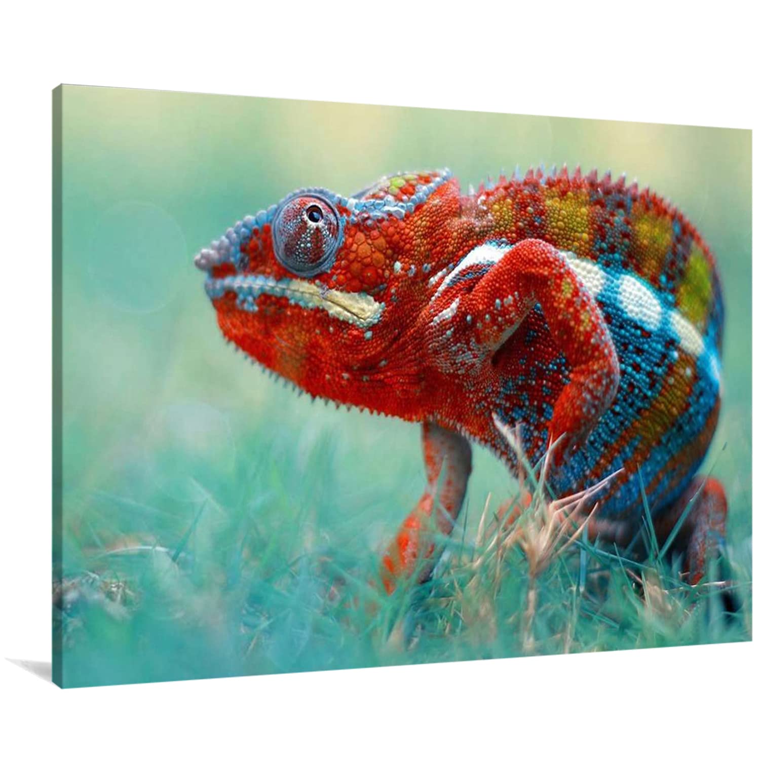 Colorful Chameleon Canvas Wall Art Print - Framed Wildlife Animal Painting for Home Decor (8x12 Inch) | Perfect for Living Room, Bedroom, Bathroom & Office Wall Decor