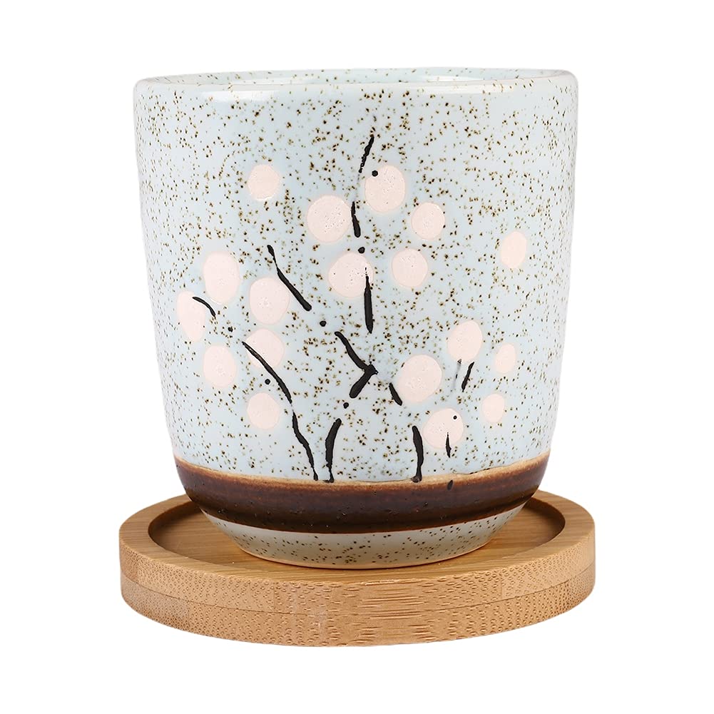 Ochine Small Ceramic Succulent Planter Pots with Drainage Hole & Bamboo Tray - Modern Cactus & Flower Pots for Home, Office Decor | Perfect for Windowsills, Desks & Gift Giving