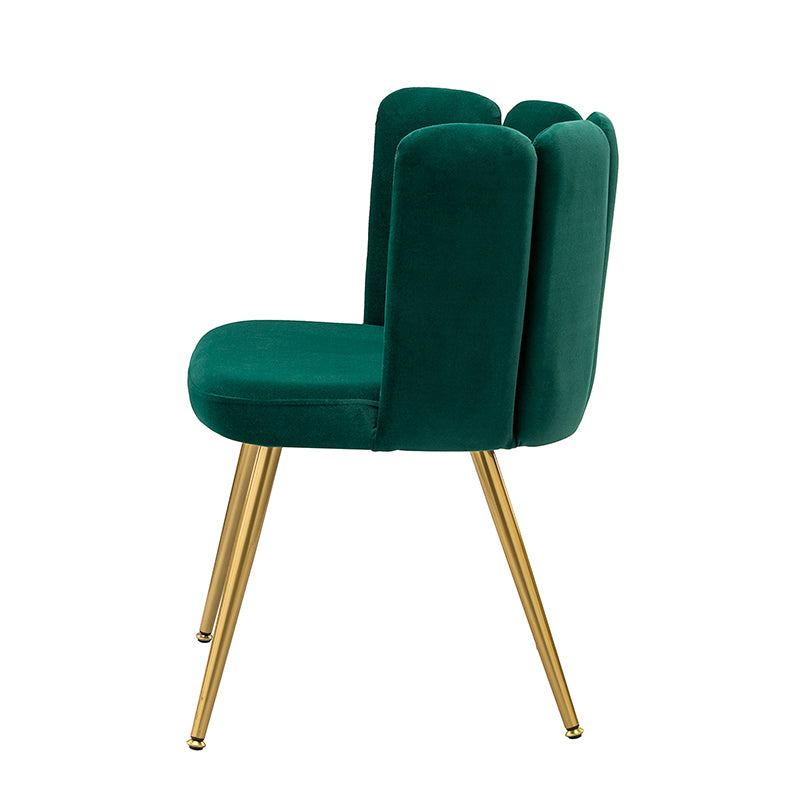 Elodia Side Chair - Modern Accent Chair for Dining Room, Living Room & Office - Sturdy Wooden Frame with Upholstered Seat - Perfect for Home Decor & Small Spaces