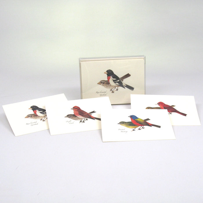 Peterson Bird Notecard Assortment - Set of 2 Hand-Painted Bird Note Cards with Envelopes | Perfect for Thank You Cards, Greeting Cards & Stationery Gifts for Bird Lovers