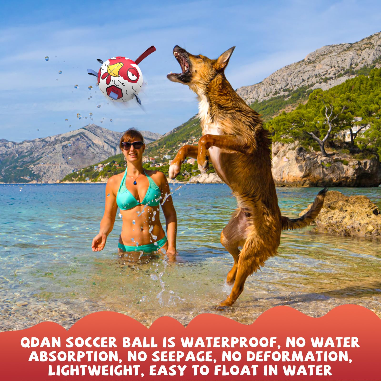 QDAN Durable Dog Ball Toys - 6 Inch Soccer & Chicken Scented Chew Toy for Small Medium Dogs | Interactive Fetch Toy for Outdoor Play, Puppy Birthday Gift Idea for Active Dogs