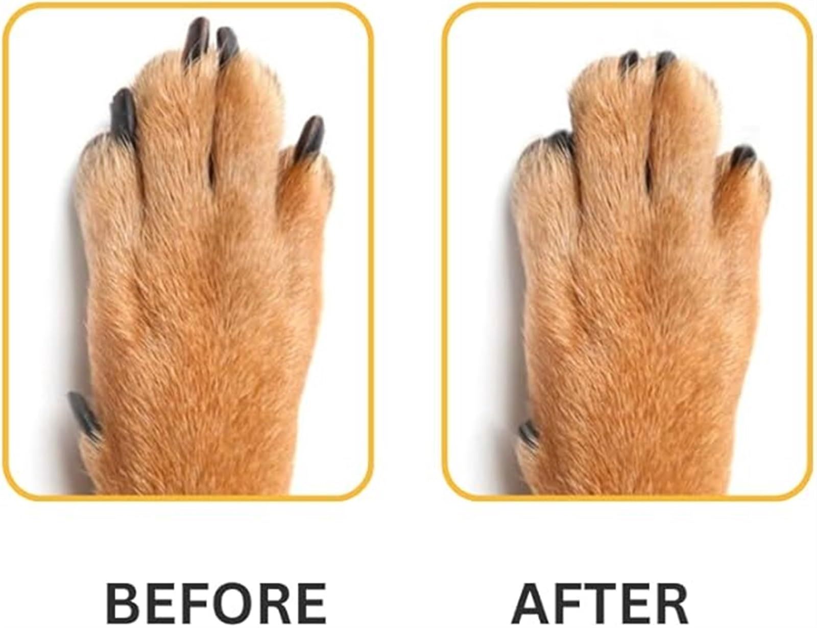Absolute Pet Dog Nail File & Scratch Pad - Soothing Nail Grinder for Small & Large Dogs with Treat Box | At-Home Pet Grooming & Nail Care Solution for Puppies & Adult Dogs