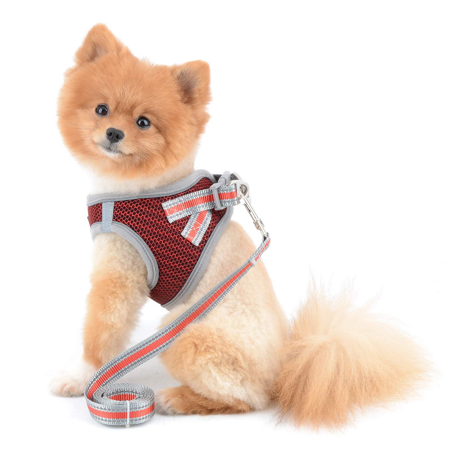 SELMAI Reflective Cat Harness and Leash Set - Escape Proof No Pull Adjustable Soft Mesh Vest for Small Dogs, Kittens, Puppies & Chihuahuas (Red, XL, 1.5m) - Perfect for Night Walks, Pet Training & Outdoor Adventures