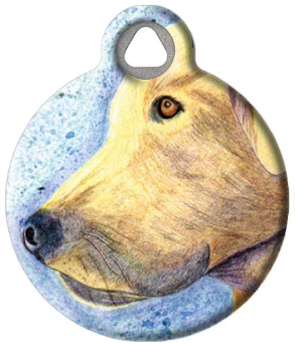 Personalized Yellow Lab Dog Tag - Silent Polymer Coated Stainless Steel Pet ID Tag for Dogs (0.875