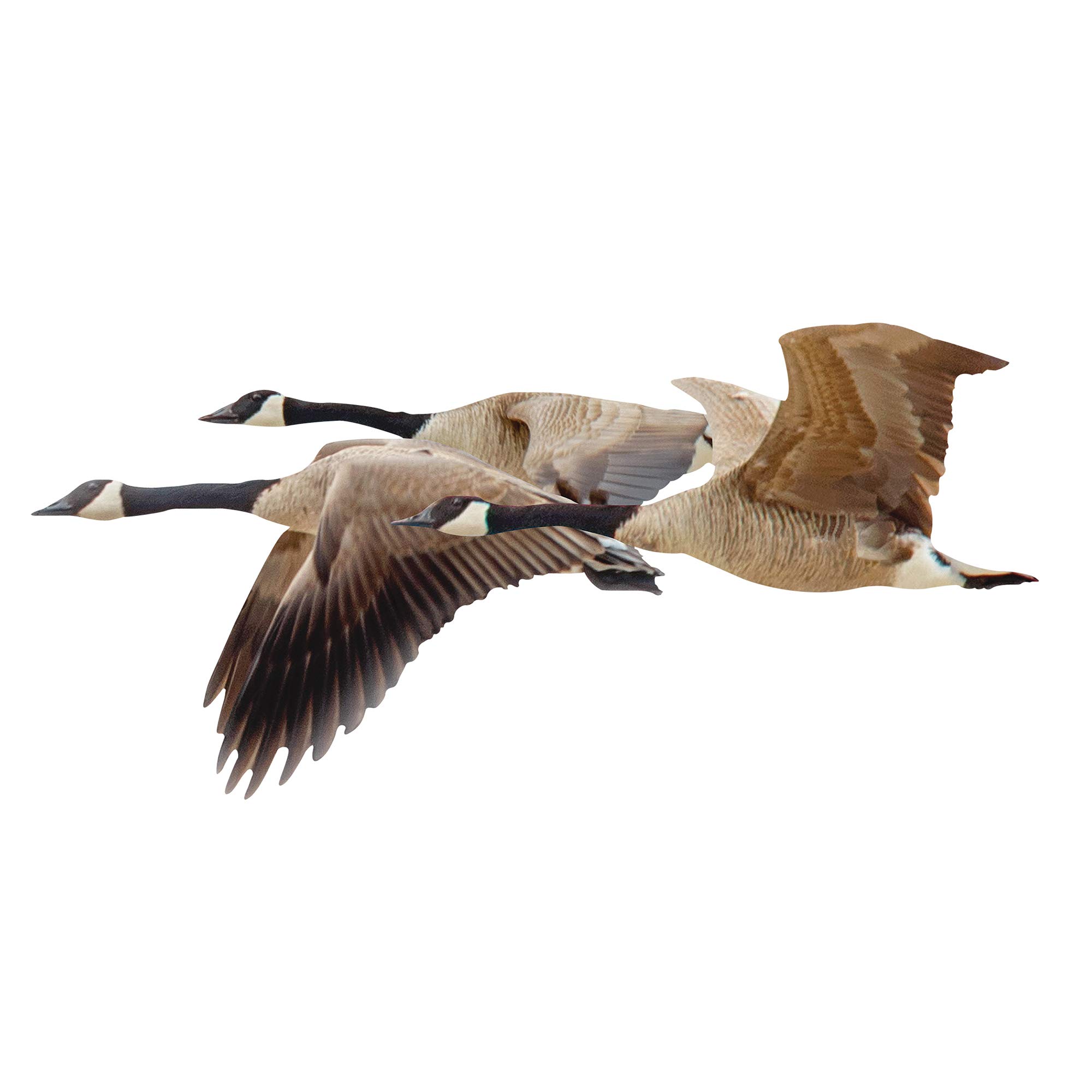 Next Innovations Canadian Geese Wall Art - Premium Handmade Goose Decor for Living Room, Bedroom & Office - Nature Inspired Home Decor for Rustic & Modern Interiors