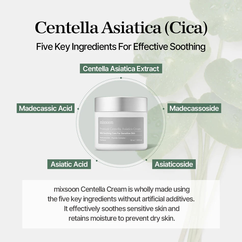 Premium Centella Asiatica Facial Cream by Mixsoon - Soothing & Hydrating Korean Skincare for Sensitive & Acne-Prone Skin - Perfect for Daily Moisturizing & Skin Repair Routine