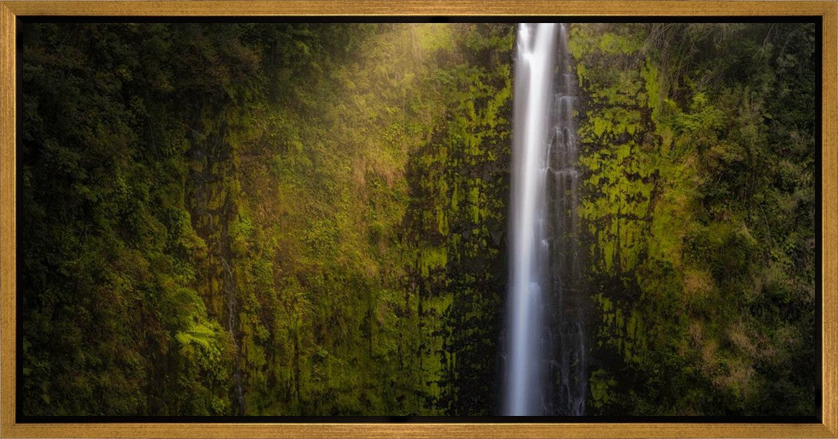 Stunning Akaka Falls Hawaii Landscape Art Print - Premium Gallery Wrap Canvas for Home & Office Decor - Perfect for Living Room, Bedroom, or Gift