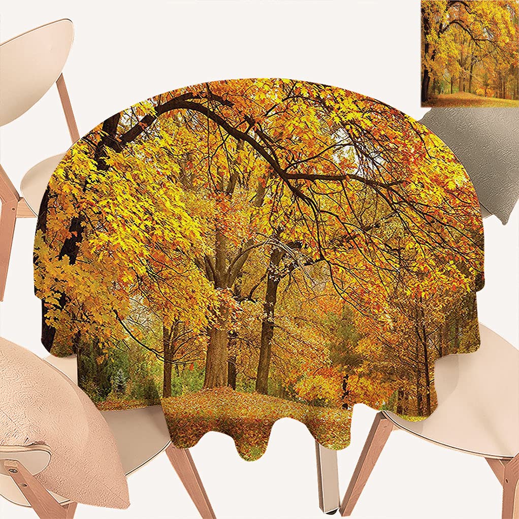 Farmhouse Round Tablecloth 47 Inch - Gold Fall Scenery with Maple Leaves Design, Autumn Woodland Theme Dining Table Cover for Thanksgiving, Holiday Parties & Seasonal Home Decor | Waterproof Kitchen Tablecloth for Indoor/Outdoor Use