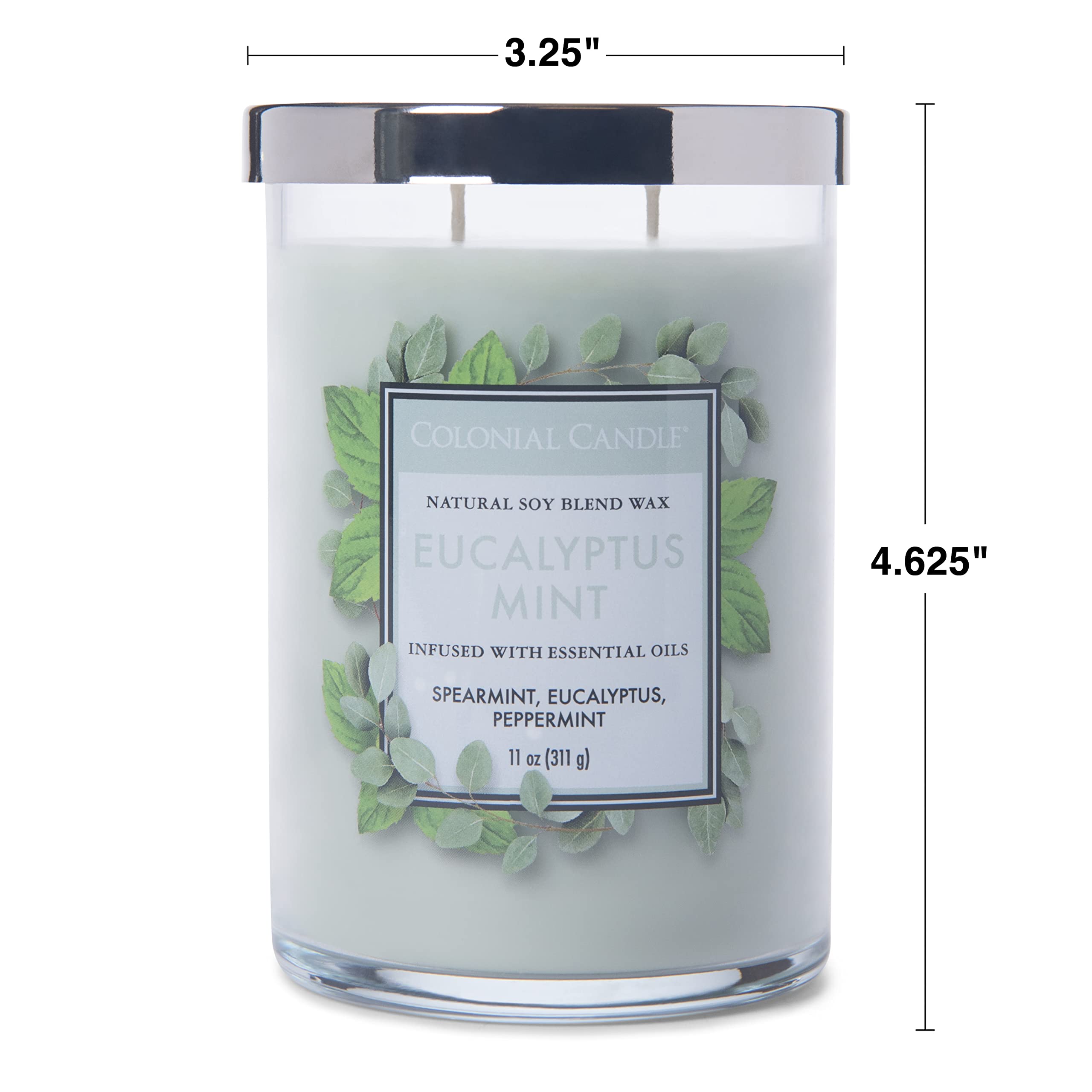 Colonial Candle Eucalyptus Mint Scented Jar Candle - 2 Wick, 11 oz (80 Hours Burn Time) | Classic Cylinders Collection | Green Home Decor for Relaxation, Spa & Aromatherapy