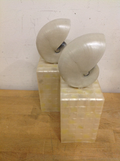 11 Pairs of Shells on Mother of Pearl Stands - Elegant Home Decor for Coastal & Beach House Themes