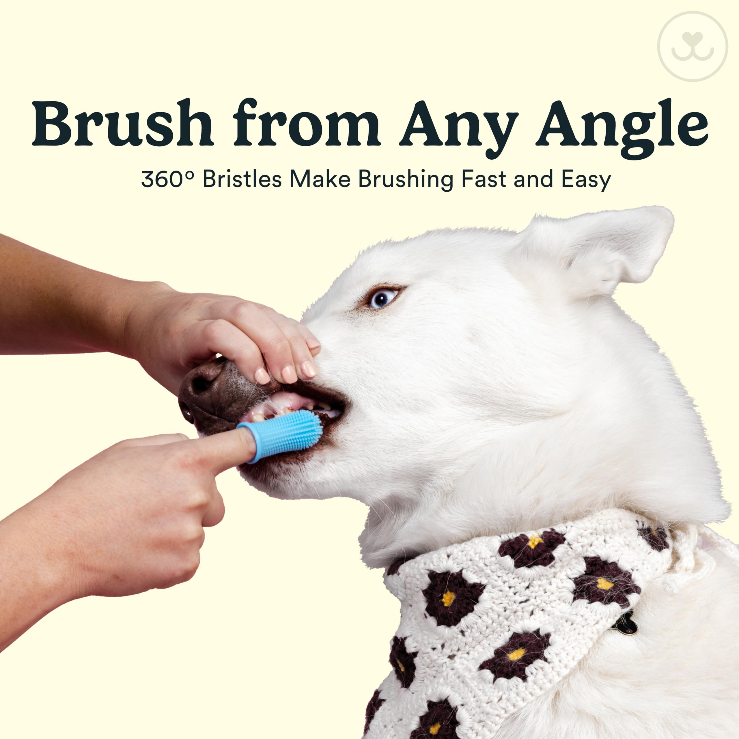 360-Degree Jasper Dog Toothbrush & Cat Toothbrush Kit - 4 Pack Pet Finger Toothbrush for Teeth Cleaning with Dog Toothpaste - Perfect for Daily Oral Care at Home or Vet Visits