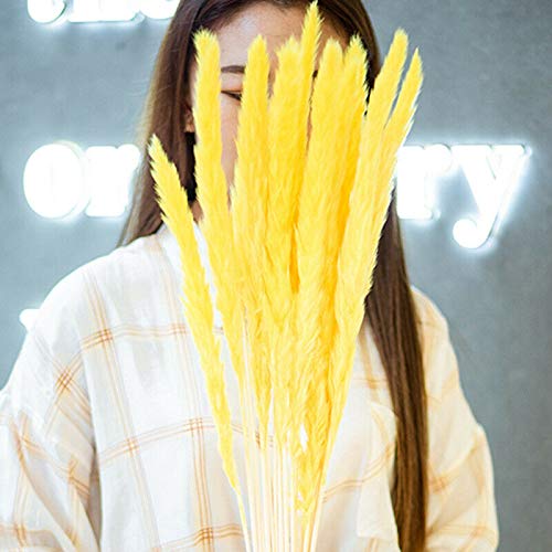 AUSUKY 15 Pcs Dried Pampas Grass Decor - Yellow for Home Wedding Party