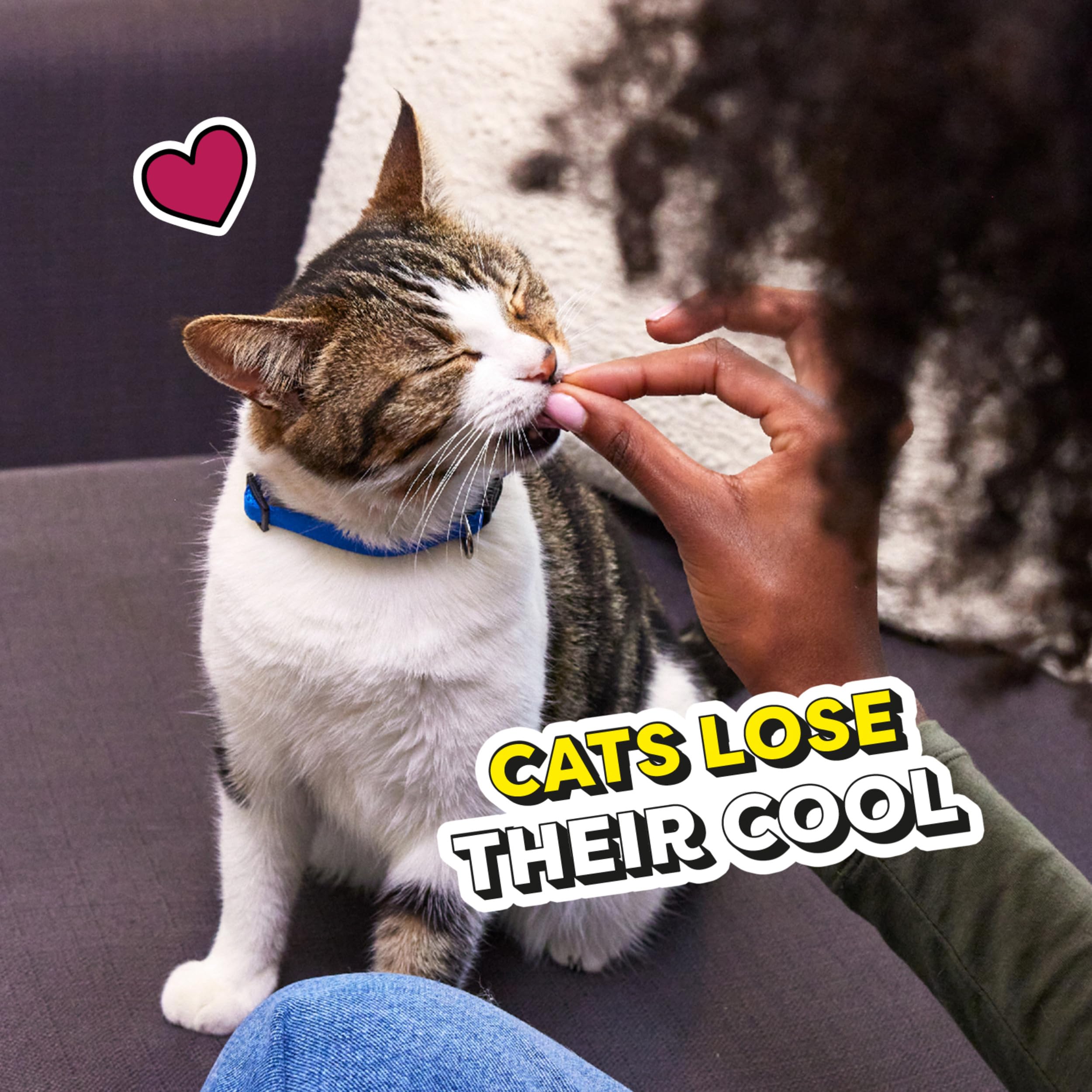 Temptations Meaty Bites Soft & Savory Cat Treats - Tuna Flavor (4.12oz Pouch) | Delicious Reward for Indoor Cats | Perfect for Training & Bonding