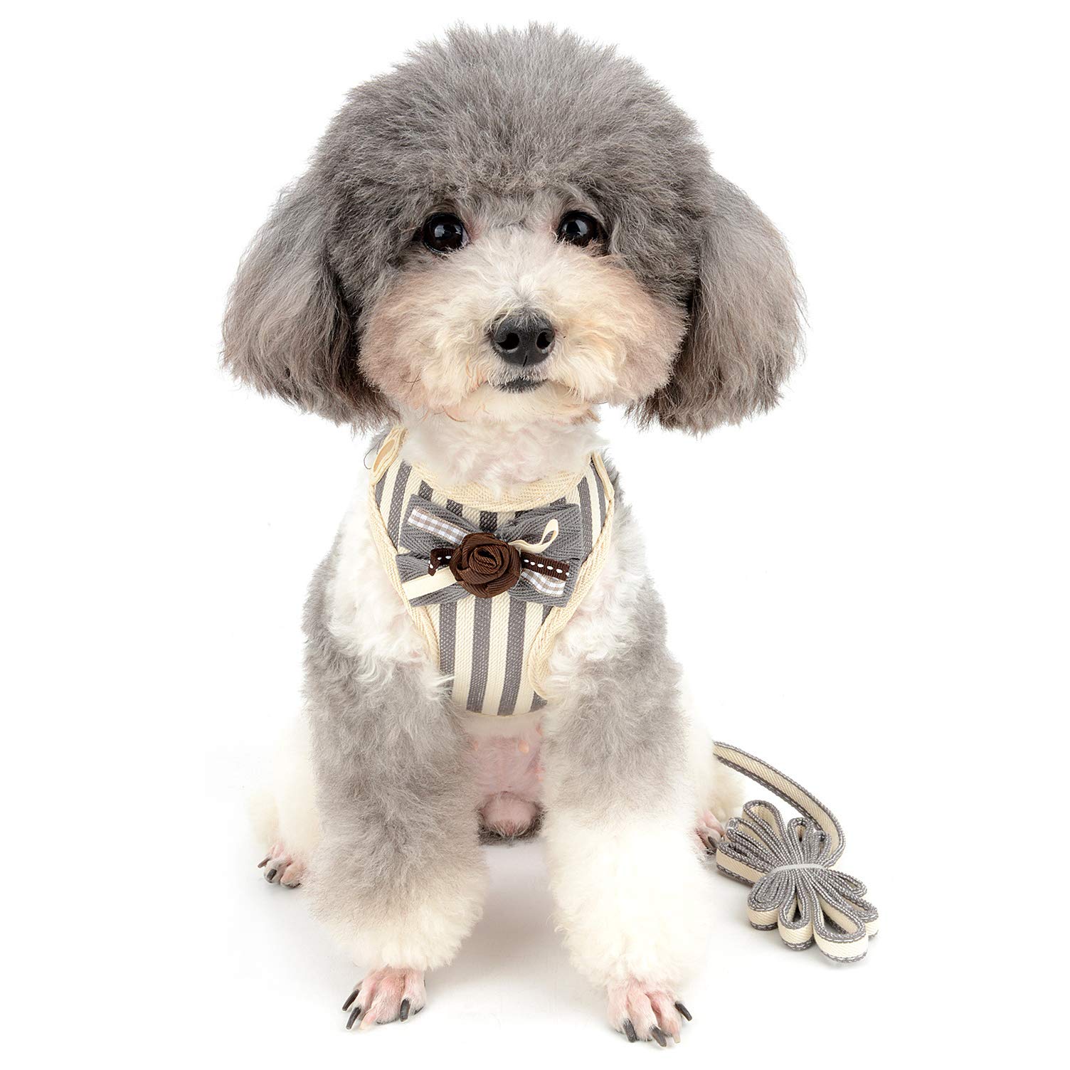 Ranphy No Pull Mesh Harness for Small Dogs & Cats - Breathable Soft Padded Vest with Escape Proof Design - Striped Puppy Harness & Leash Set - Cute Flower Bow for Chihuahua Yorkie - Gray XL - Perfect for Walking, Training & Outdoor Adventures