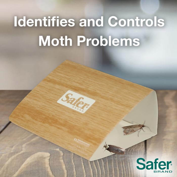 Safer Brand Clothes Moth Alert Trap - 6 Pack | Natural Pheromone Moth Traps for Closets & Storage | Protect Wool, Cashmere & Silk Clothing from Moth Damage | Non-Toxic & Chemical-Free Moth Prevention Solution