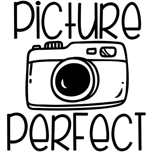 Picture Perfect