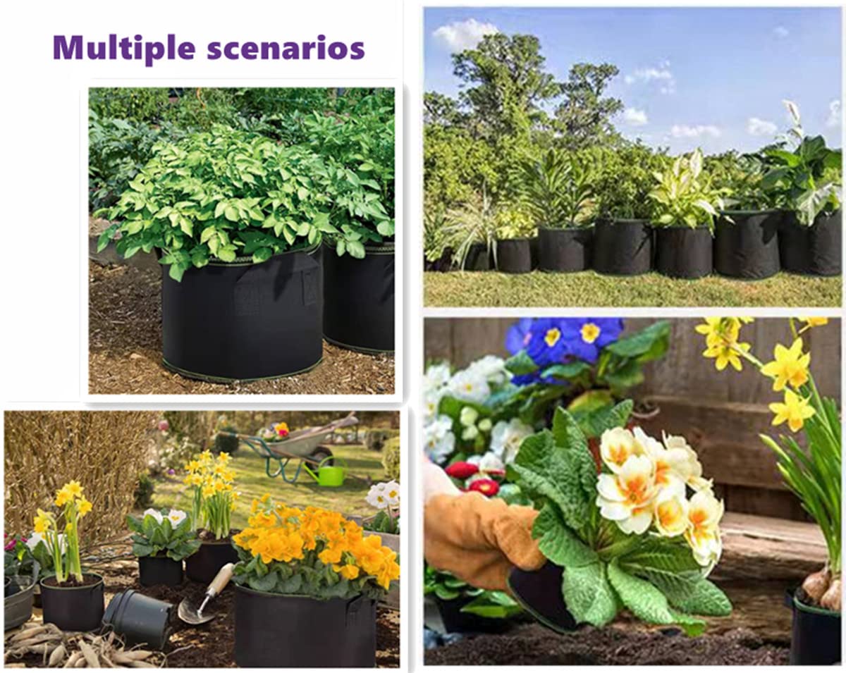 5-Pack 5 Gallon Thickened Nonwoven Fabric Grow Bags with Handles - 300G Durable Plant Pots for Fruits, Vegetables & Flowers - Perfect for Low Stress Training, Container Gardening & Indoor/Outdoor Planting