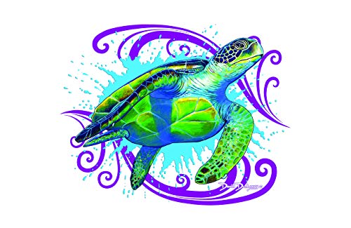 Sea Turtle Splash