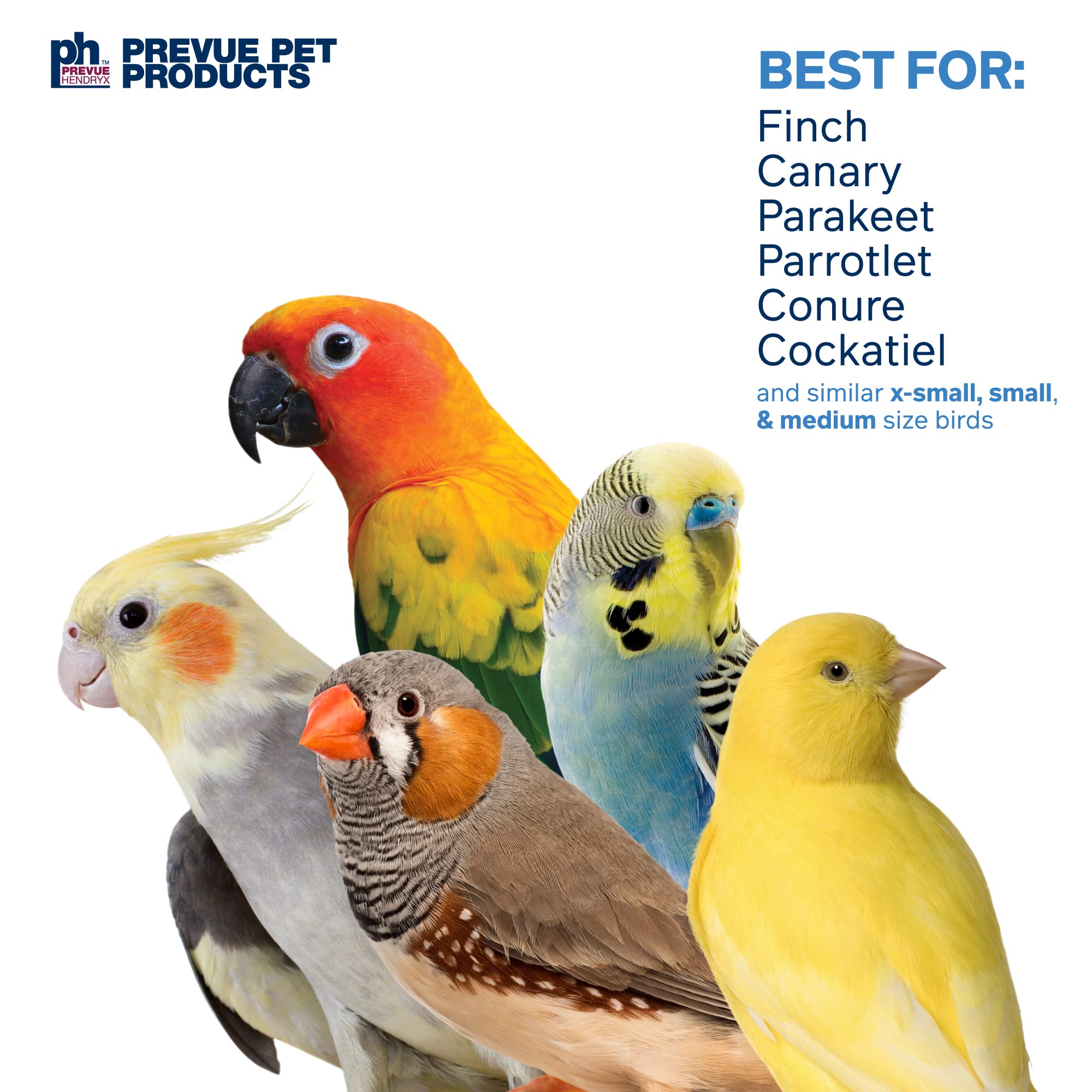 Prevue 60062517 Accordion Crinkle Bird Toy - Interactive Pet Toy for Parrots, Cockatiels & Small Birds - Fun Chewing & Foraging Activity for Bird Cages & Play Gyms