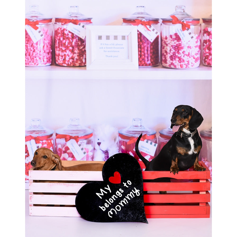 Sweet Shoppe Printed Backdrop - High Quality Photography Background for Candy Store, Bakery & Dessert Themed Parties - Perfect for Birthday Decor, Baby Showers & Social Media Content Creation
