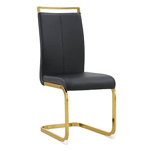 Black With Gold Leg