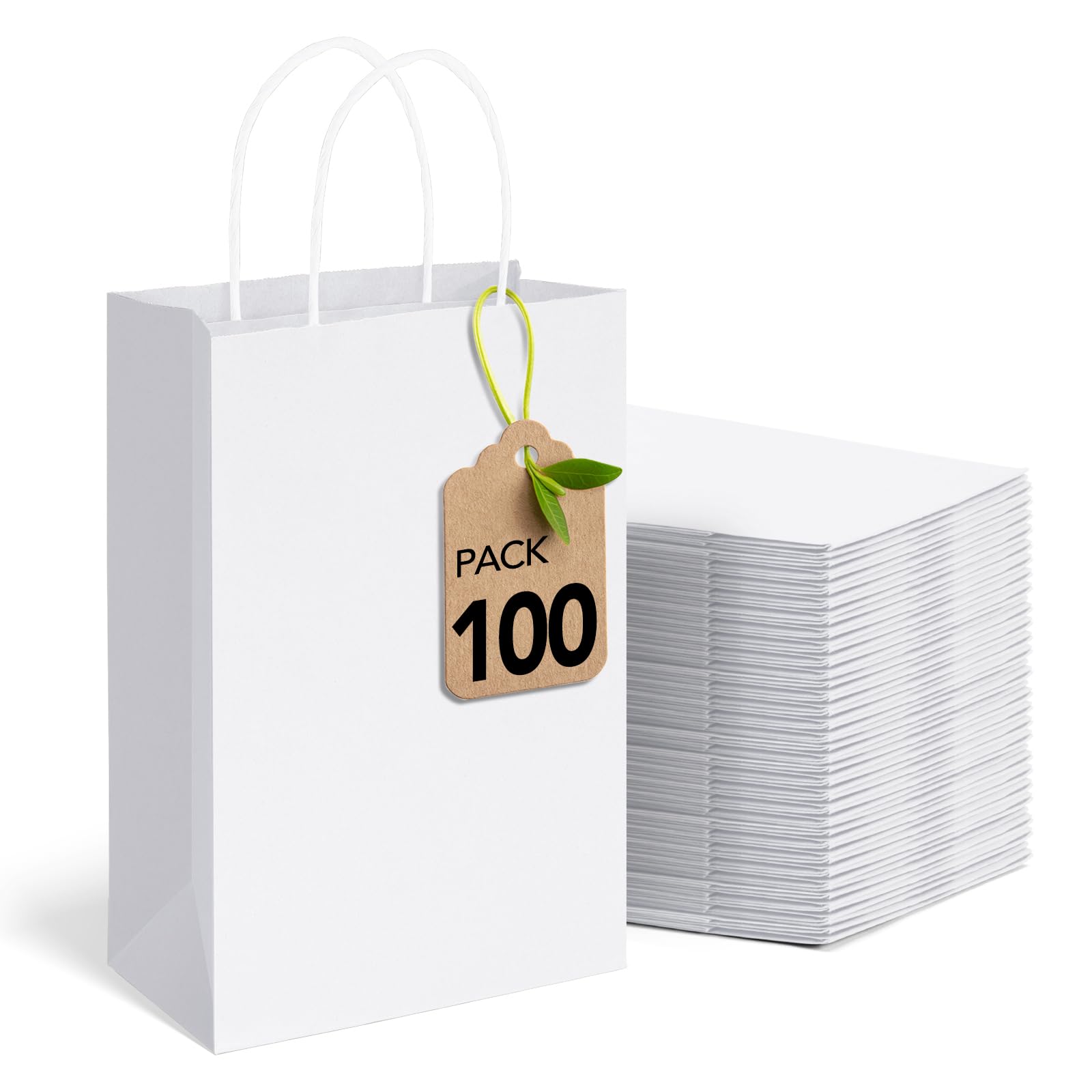 Premium White Kraft Paper Gift Bags with Handles - 5.25