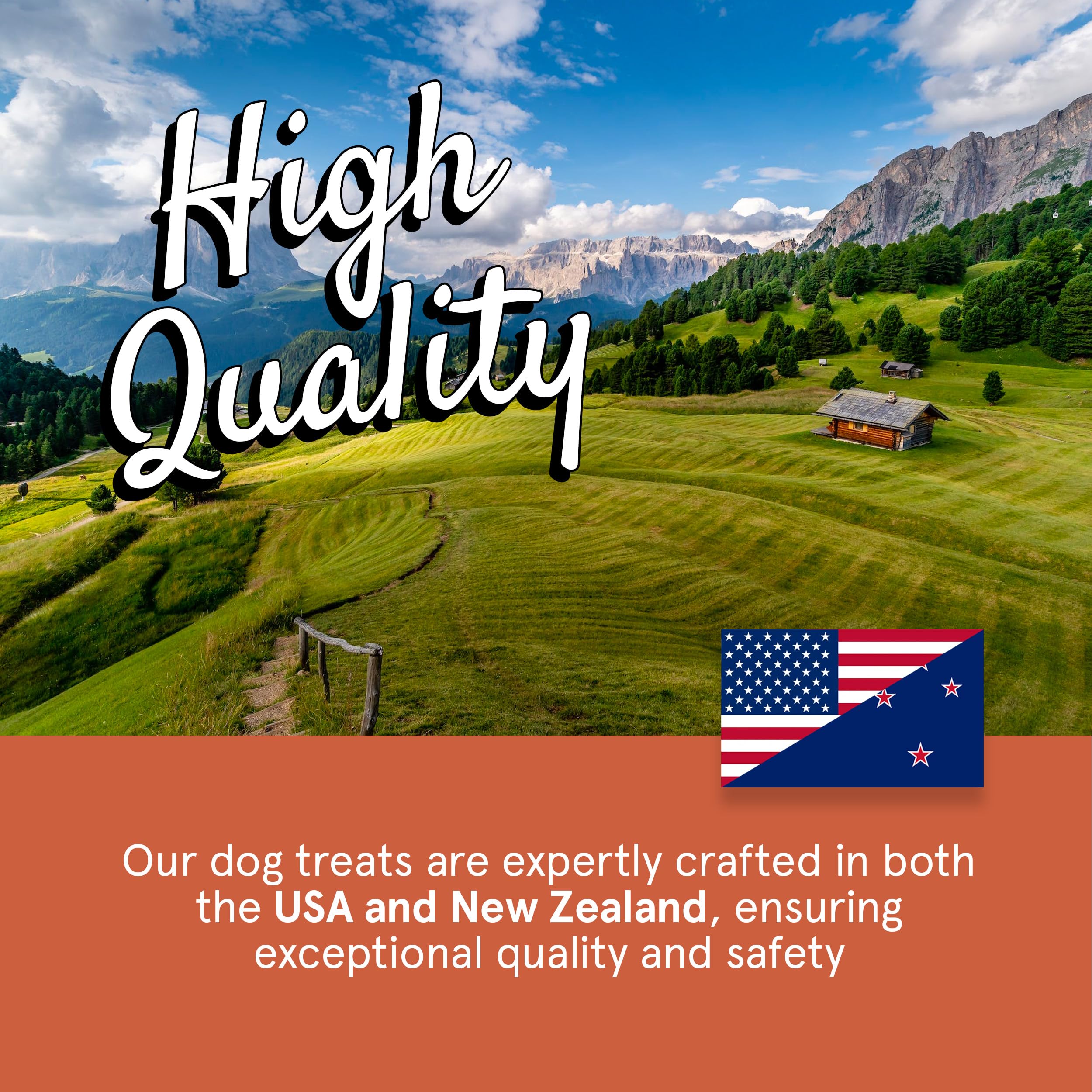Premium Air-Dried Venison Dog Treats - 4oz Grain-Free, High Protein Snacks Made with 95% Human-Grade Grass-Fed Venison - All-Natural Bite-Sized Training Rewards & Chews for Small, Medium & Large Dogs - Perfect for Outdoor Adventures, Training Sessions & Daily Treats