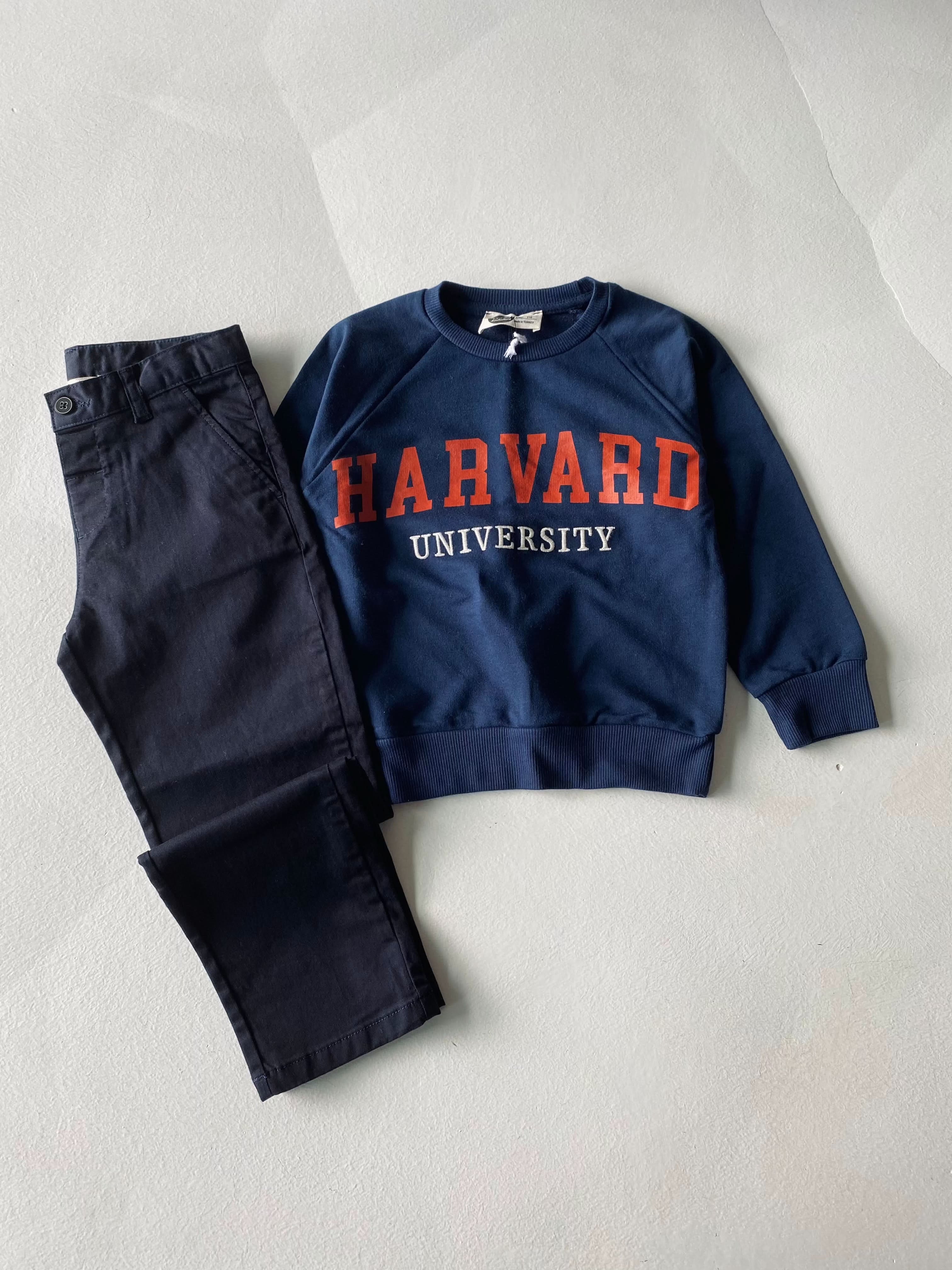 Kids Unisex Embroidered Printed Sweatshirt - Cozy & Stylish Pullover for Boys & Girls - Perfect for School, Playdates & Family Outings