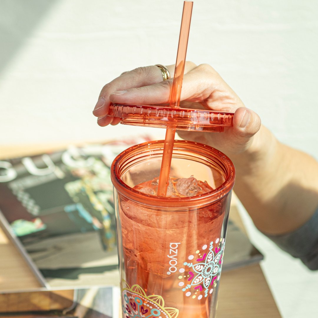 24oz Double Wall Insulated Plastic Tumbler with Lid & Straw - Leakproof Travel Mug, BPA-Free, Reusable Cold Drink Cup for Coffee, Iced Tea, Smoothies - Medallion Orange (Perfect for Office, Gym, Camping & Outdoor Activities)