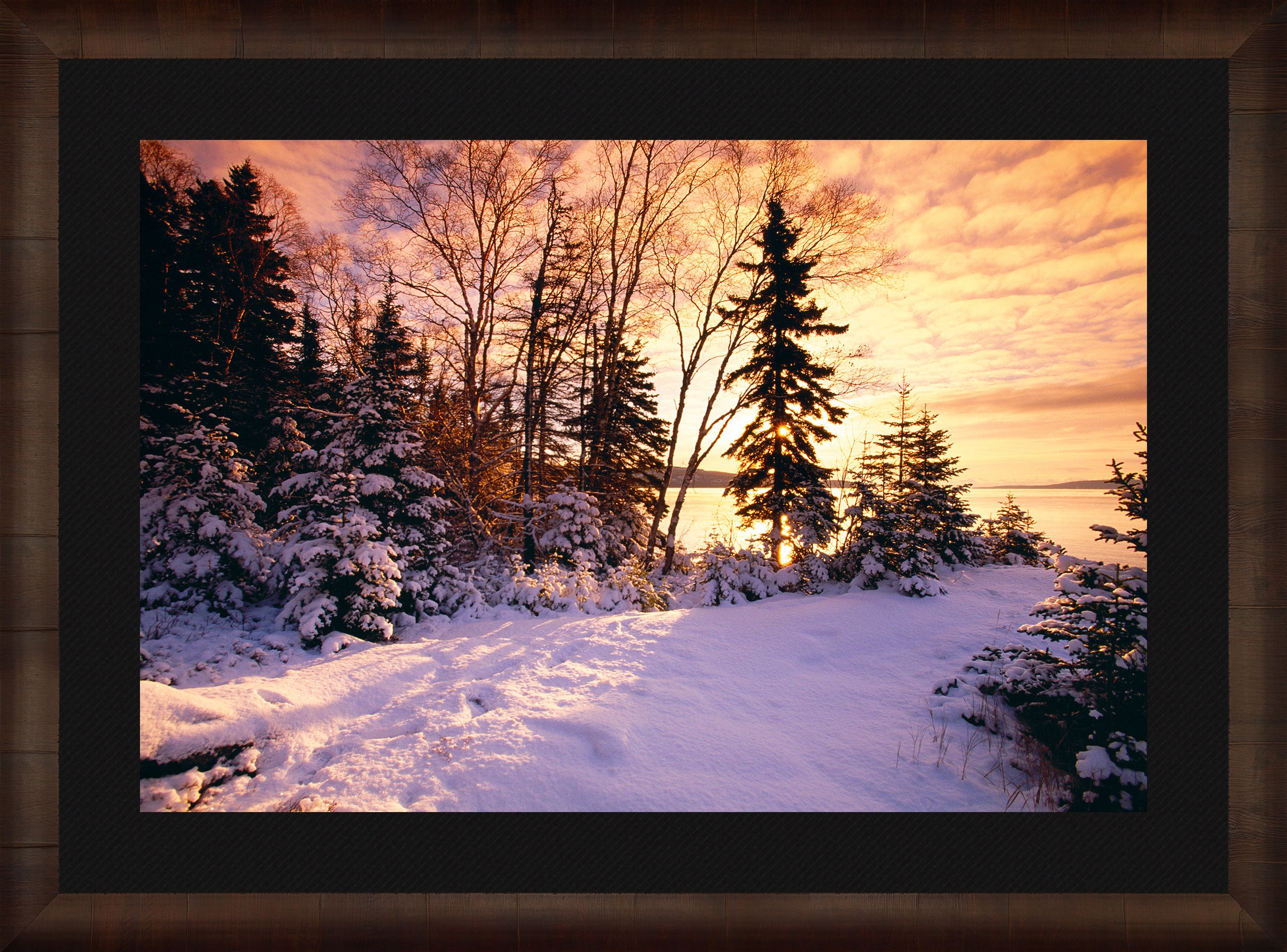 Winter Dawn - Cozy Women's Winter Jacket for Cold Weather | Outdoor Activities & Daily Wear