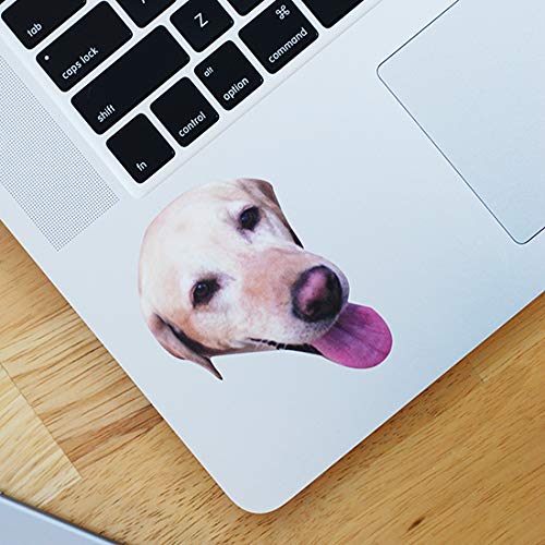 Custom Face Stickers & Pet Stickers - Personalized 3.5