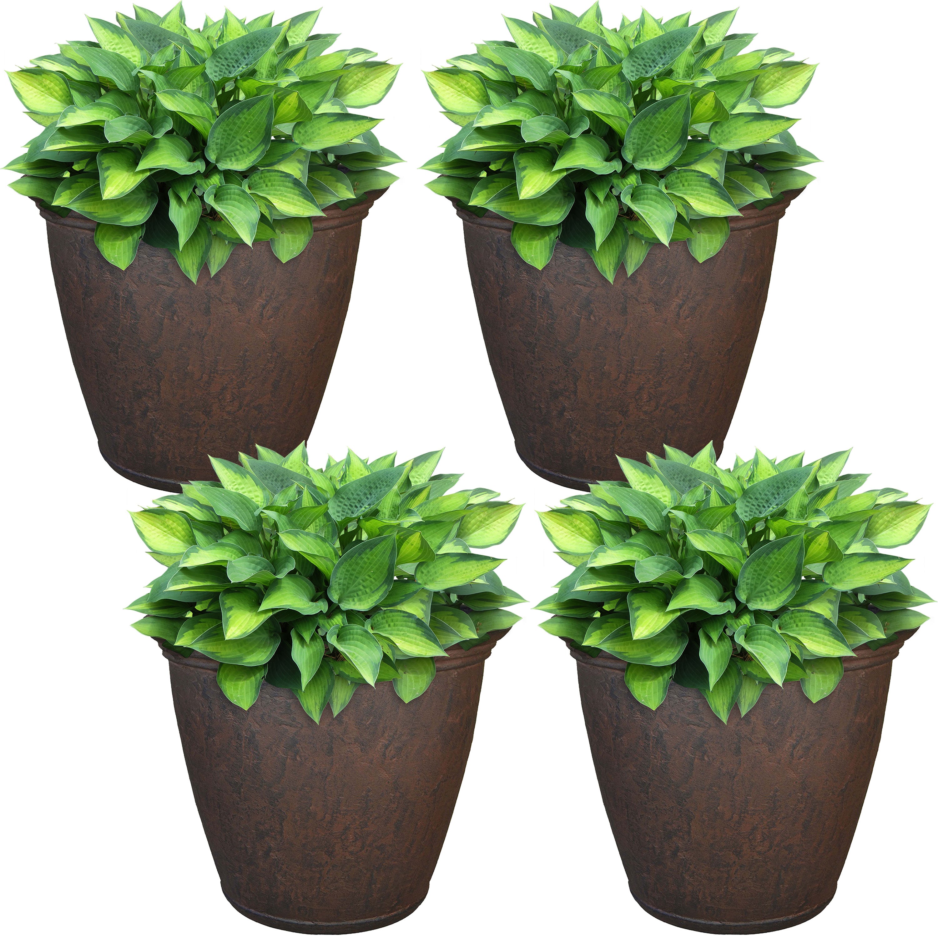 Sunnydaze Anjelica Outdoor Resin Planter - 15.25 Inch Diameter - Perfect for Garden, Patio, and Porch Decor
