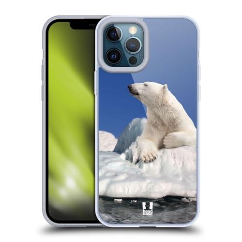 Polar Bear On Ice