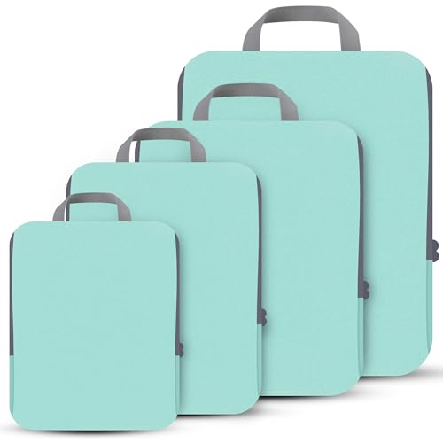 Light Teal