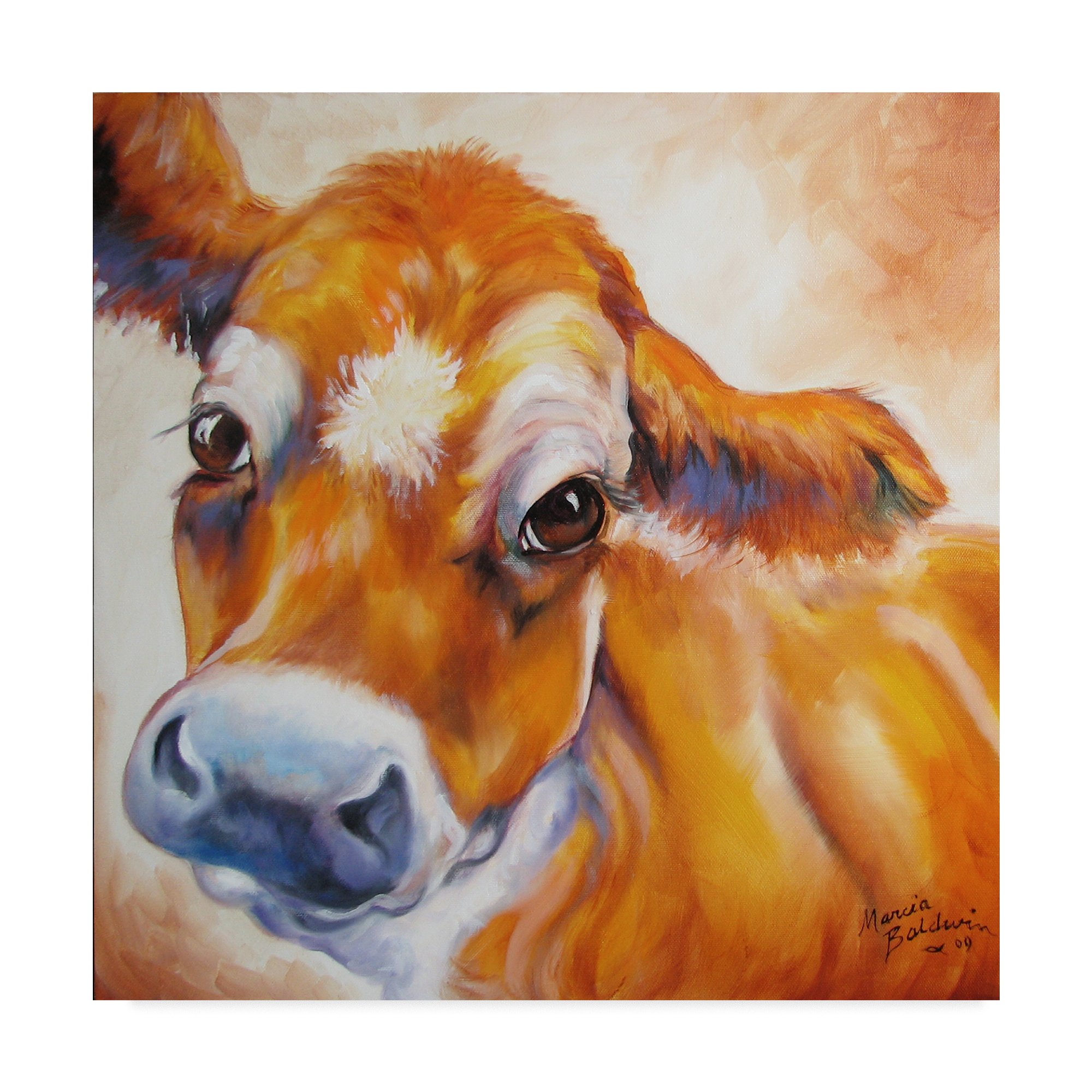 Trademark Fine Art Marcia Baldwin Multicolor Canvas Painting - Perfect for Home Decor, Office Wall Art & Gift Ideas
