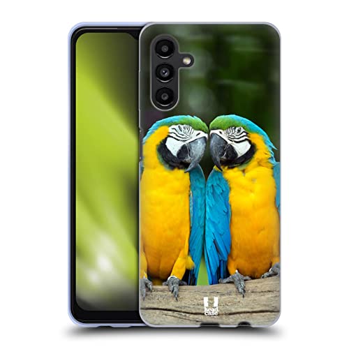 Colourful Macaw Parrot Couple