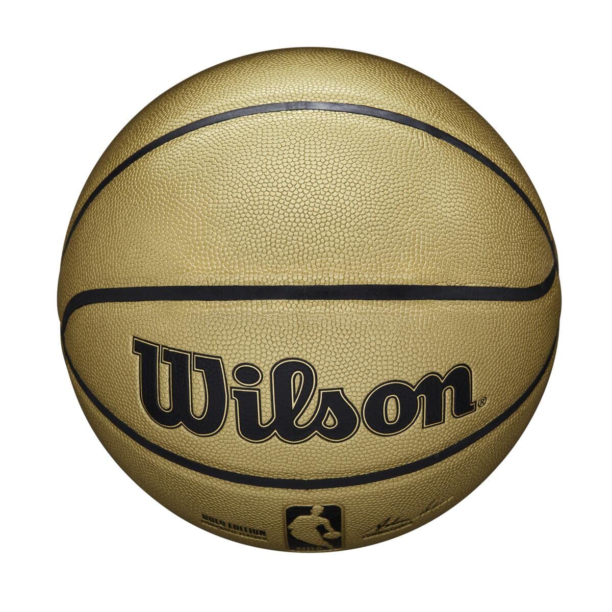 Wilson NBA Alliance Series Official Game Basketball - Size 7 & Mini Size for Indoor/Outdoor Play, Training, and Gifts
