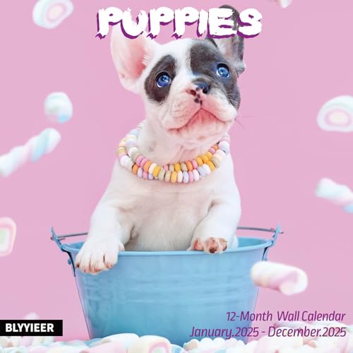 Puppy
