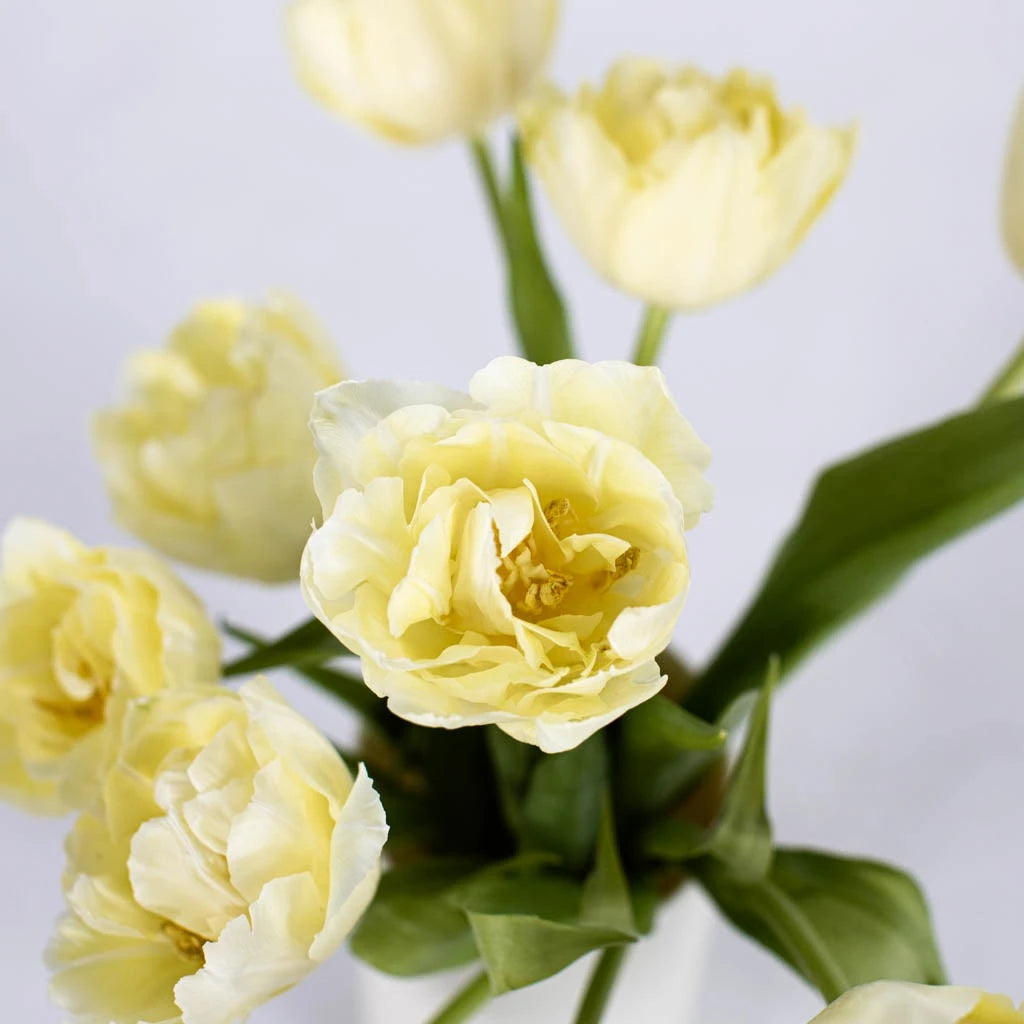 Avant Garde Double Tulips - Premium Artificial Silk Flowers for Home Decor, Wedding Centerpieces, and Floral Arrangements