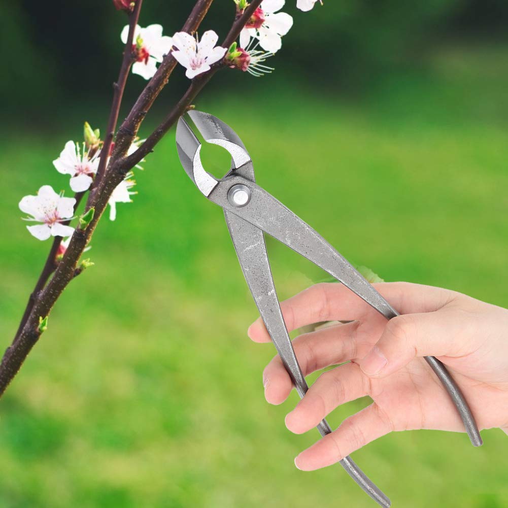 Professional Bonsai Root & Branch Cutter - Manganese Steel Concave Pruning Shears for Bonsai Trees, Shrubs & Plants | Perfect for Gardening, Landscaping & Bonsai Care