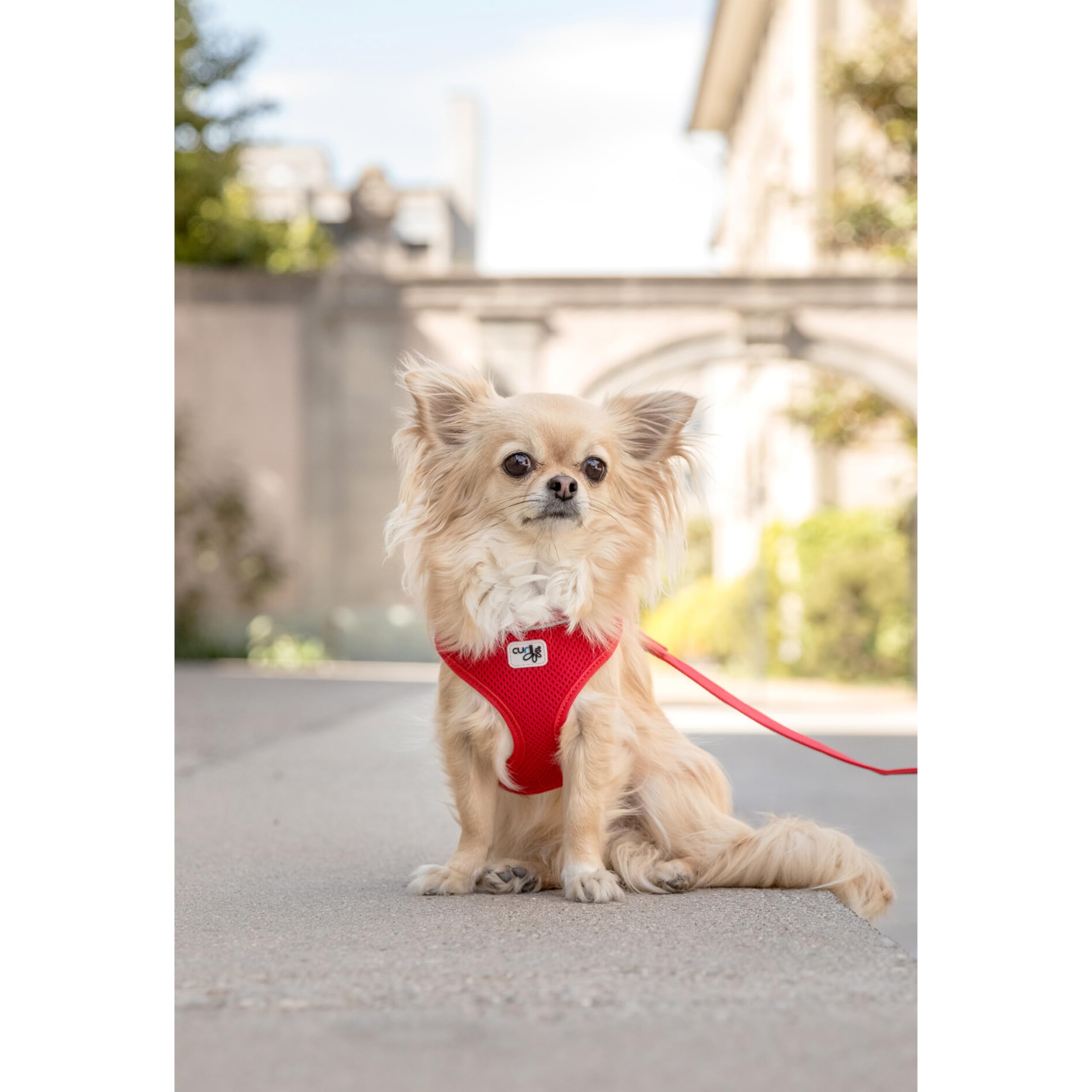 Air Mesh Camo Dog Harness - Breathable & Adjustable for Small to Medium Dogs - Perfect for Hiking, Running & Outdoor Adventures