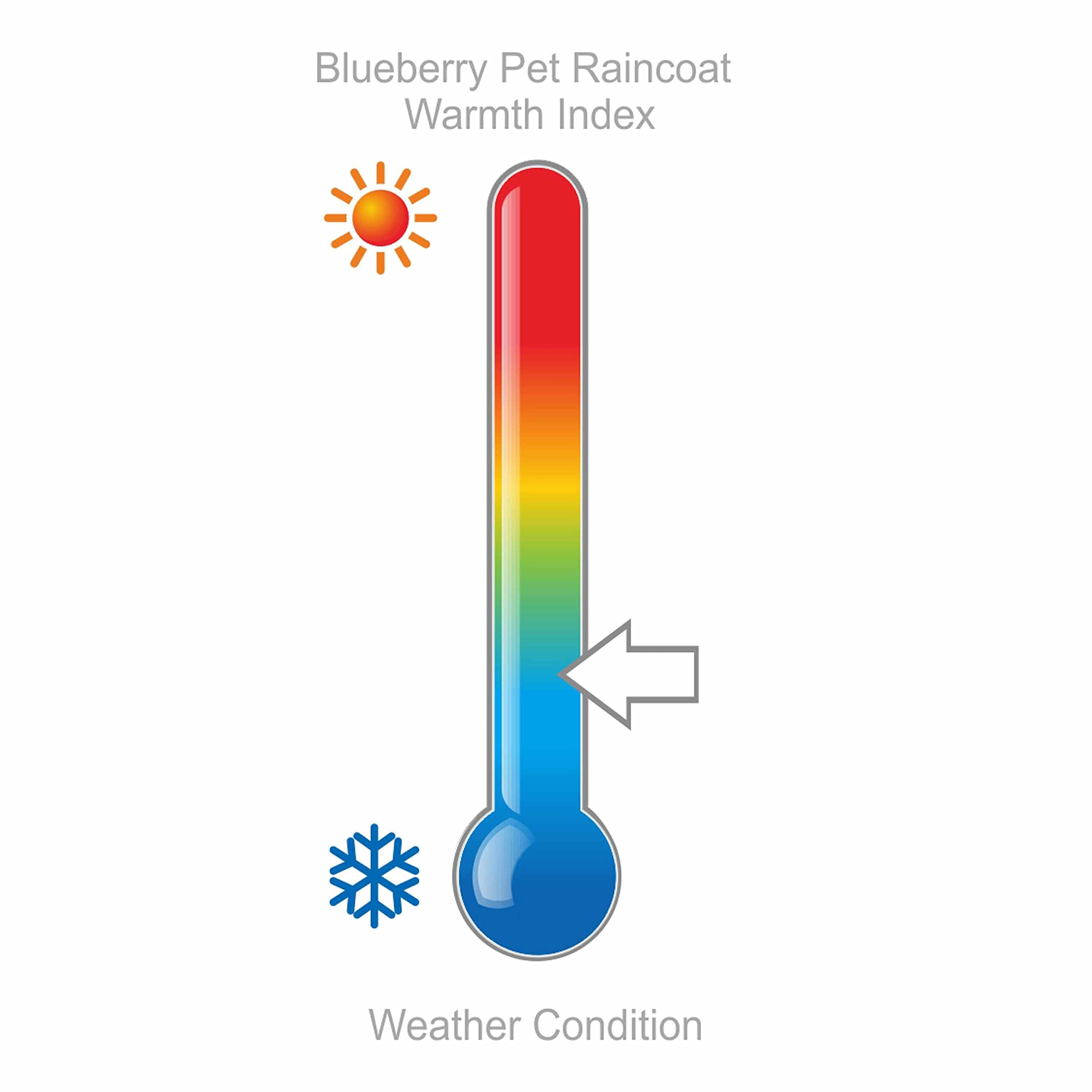 Blueberry Pet 2023 New 22