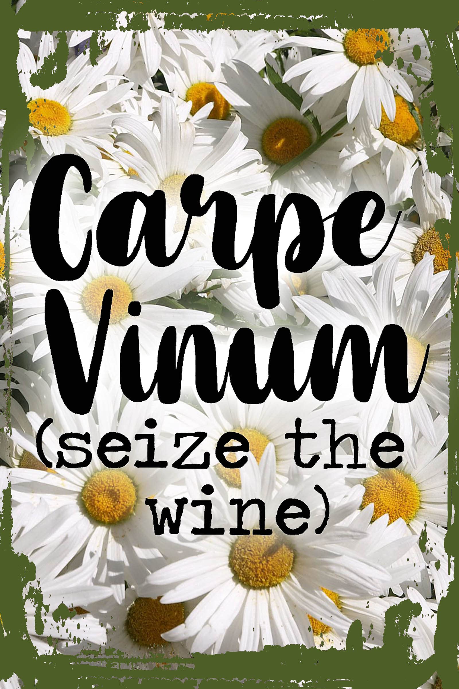 Carpe Vinum Seize The Wine Canvas Wall Art - 12x16 Inch Funny Drinking Humor Decor for Home Bar, Kitchen & Dining Room - Perfect Gift for Wine Lovers & Entertaining
