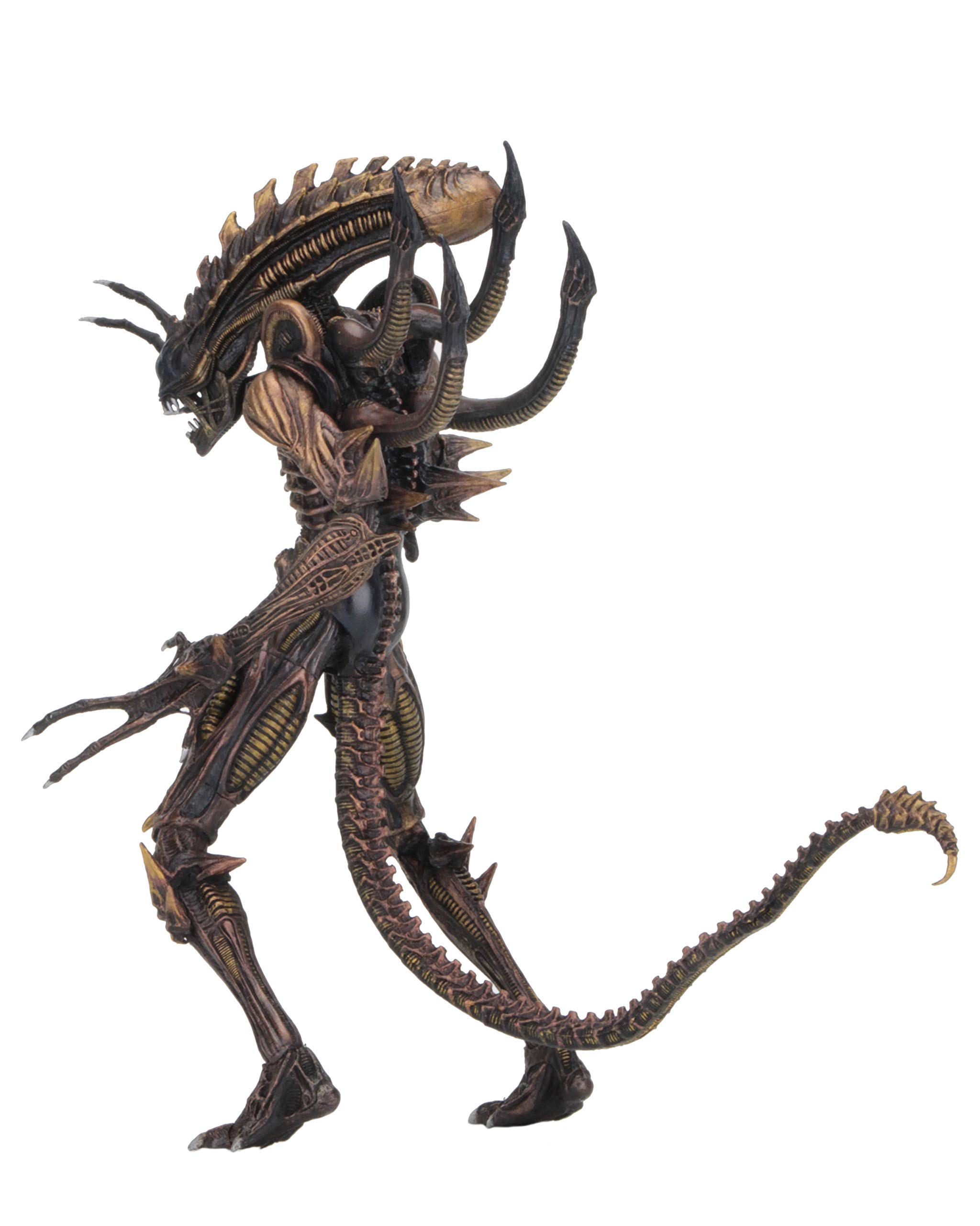 NECA Aliens 7-Inch Scale Action Figure Series 13 Scorpion - Xenomorph Collectible Toy for Sci-Fi Fans & Movie Enthusiasts - Perfect for Display, Collecting, and Role-Playing Scenes